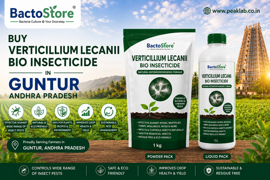 Buy Verticillium Lecanii Bio Insecticide in Guntur Andhra Pradesh