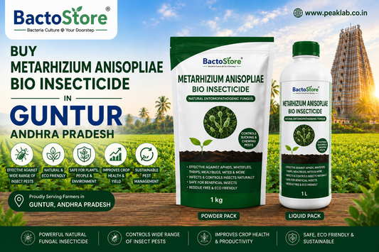 Buy Metarhizium Anisopliae Bio Insecticide in Guntur Andhra Pradesh