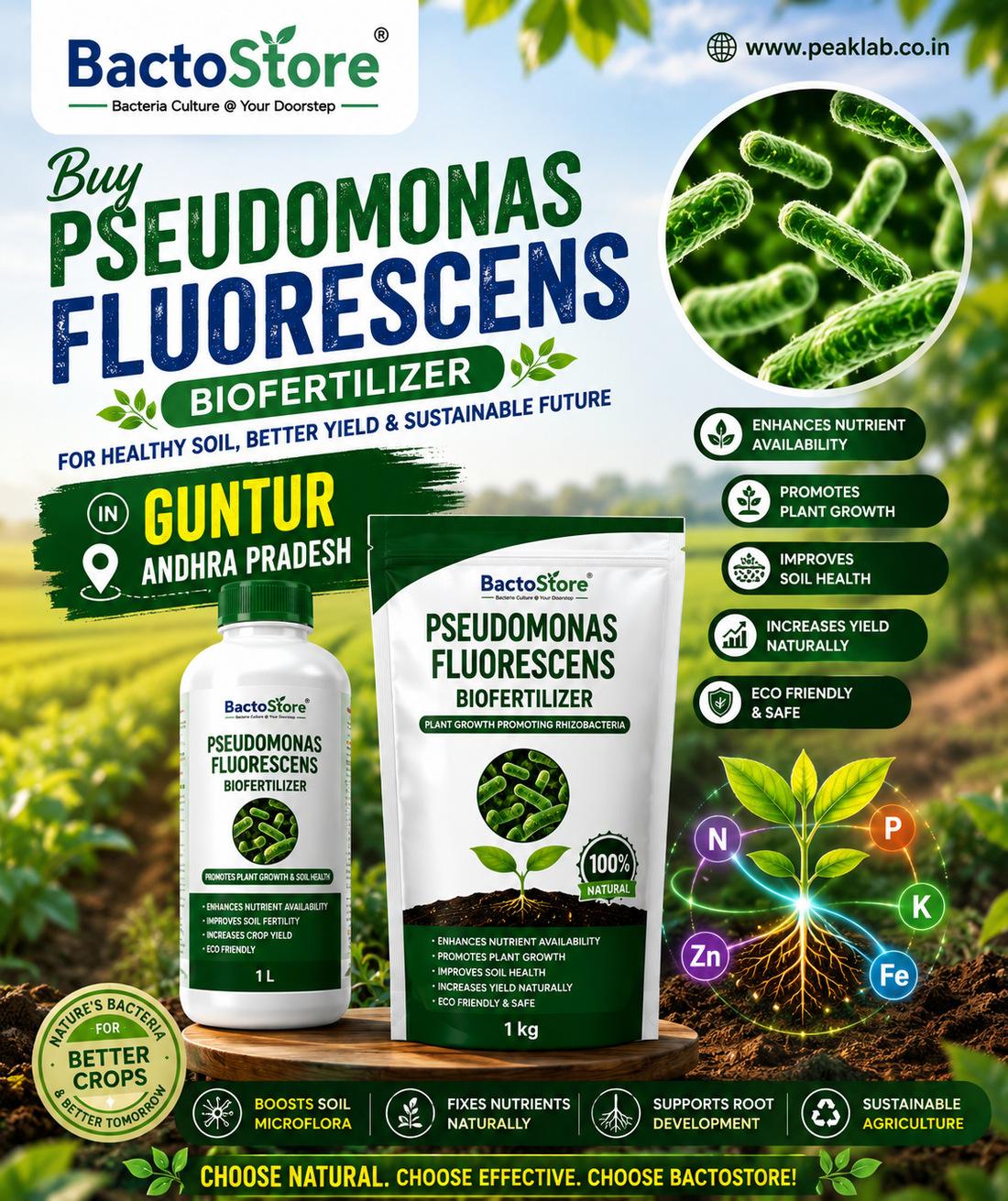 Buy Pseudomonas Fluorescens Biofertilizer in Guntur Andhra Pradesh