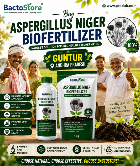 Buy Aspergillus Niger Biofungicide  in Guntur Andhra Pradesh