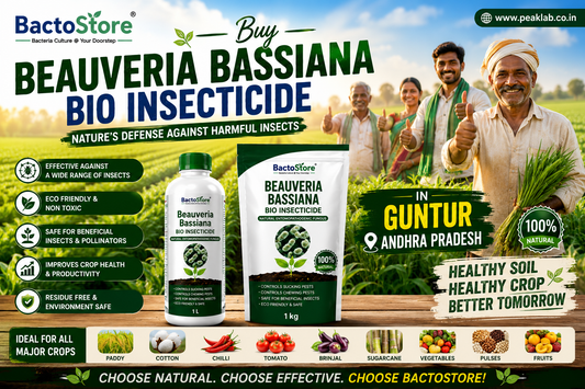 Buy Beauveria Bassiana Bio Insecticide in Guntur Andhra Pradesh