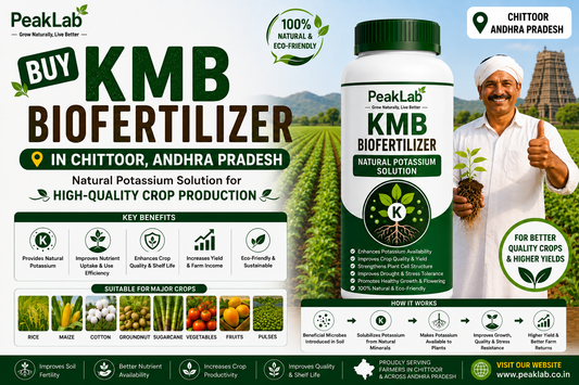 Buy KMB Biofertilizer in Chittoor Andhra Pradesh – Natural Potassium Solution for High-Quality Crop Production