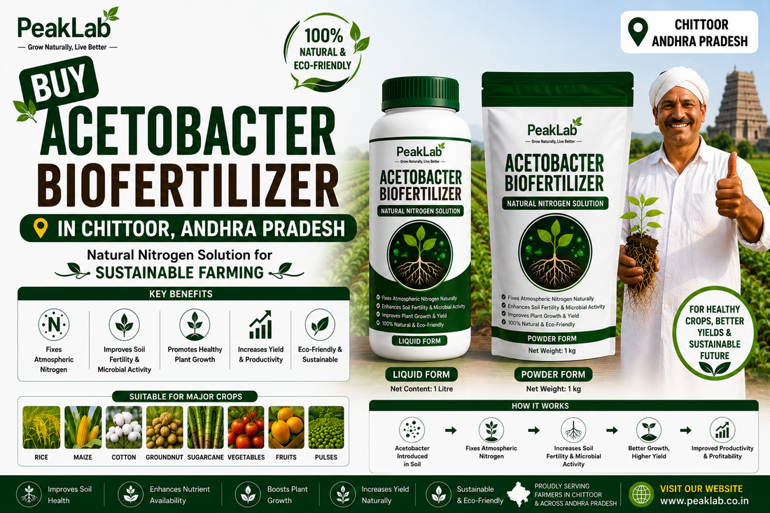 Buy Acetobacter Biofertilizer in Chittoor Andhra Pradesh – Natural Nitrogen Solution for Sustainable Farming