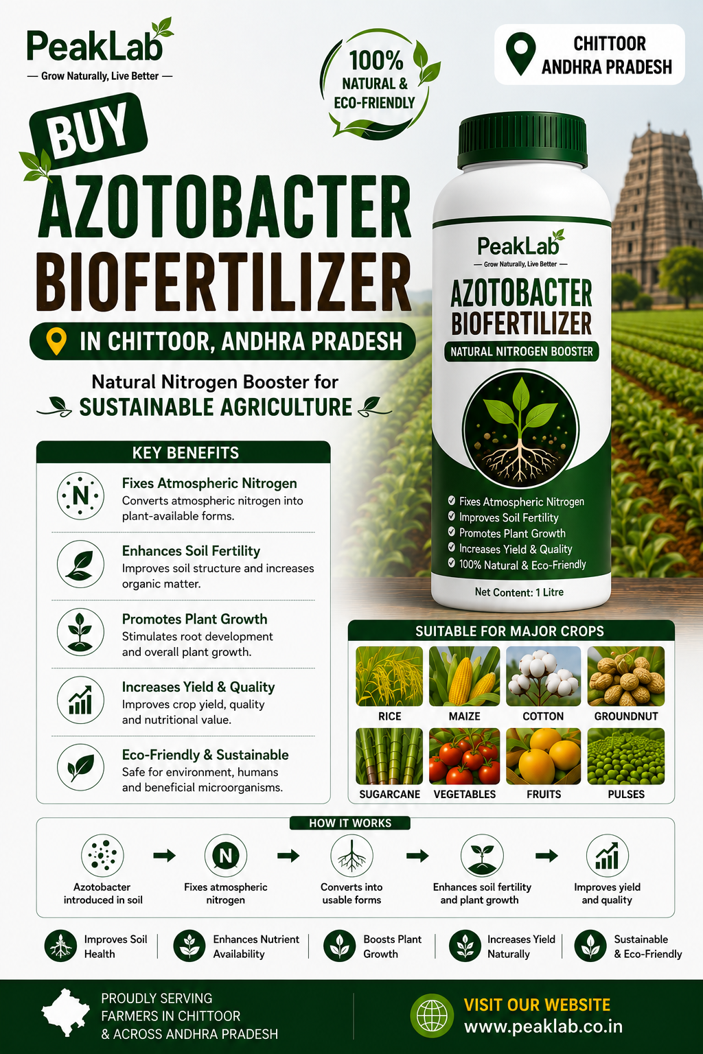Buy Azotobacter Biofertilizer in Chittoor Andhra Pradesh – Natural Nitrogen Booster for Sustainable Agriculture