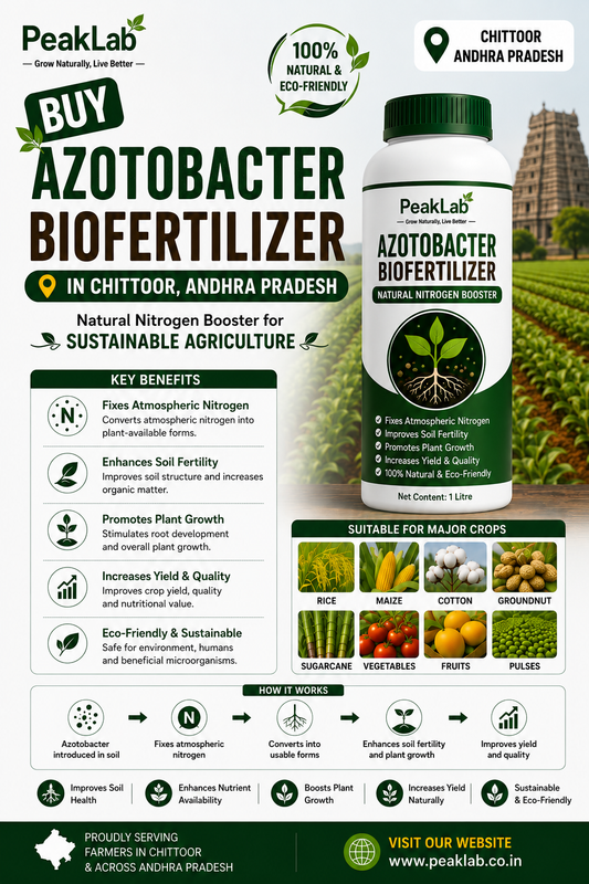 Buy Azotobacter Biofertilizer in Chittoor Andhra Pradesh – Natural Nitrogen Booster for Sustainable Agriculture
