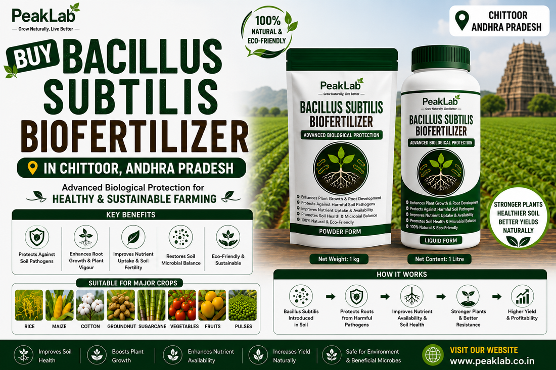 Buy Bacillus Subtilis Biofertilizer in Chittoor Andhra Pradesh – Advanced Biological Protection for Healthy Farming