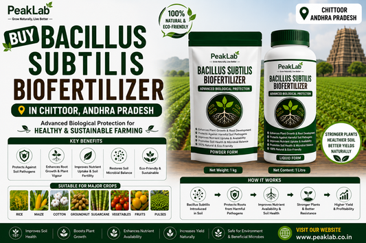 Buy Bacillus Subtilis Biofertilizer in Chittoor Andhra Pradesh – Advanced Biological Protection for Healthy Farming