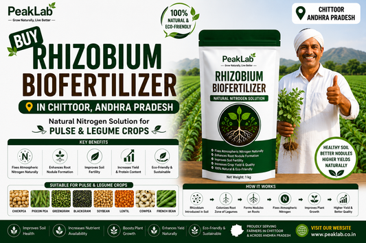 Buy Rhizobium Biofertilizer in Chittoor Andhra Pradesh – Natural Nitrogen Solution for Pulse &amp; Legume Crops