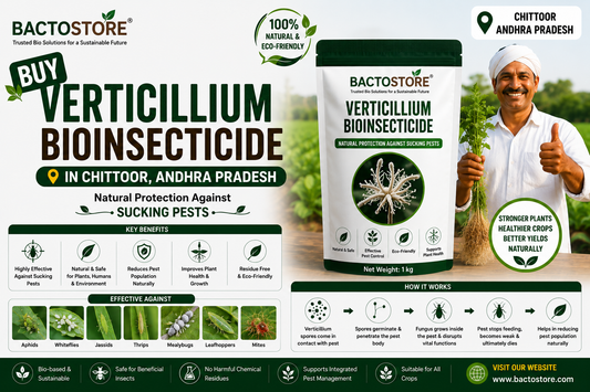 Buy Verticillium Bioinsecticide in Chittoor Andhra Pradesh – Natural Protection Against Sucking Pests