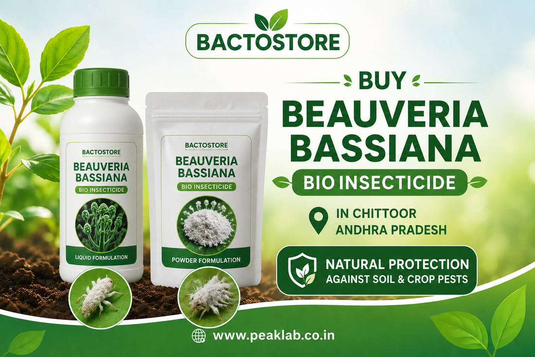 Buy Beauveria Bassiana Bio Insecticide in Chittoor Andhra Pradesh