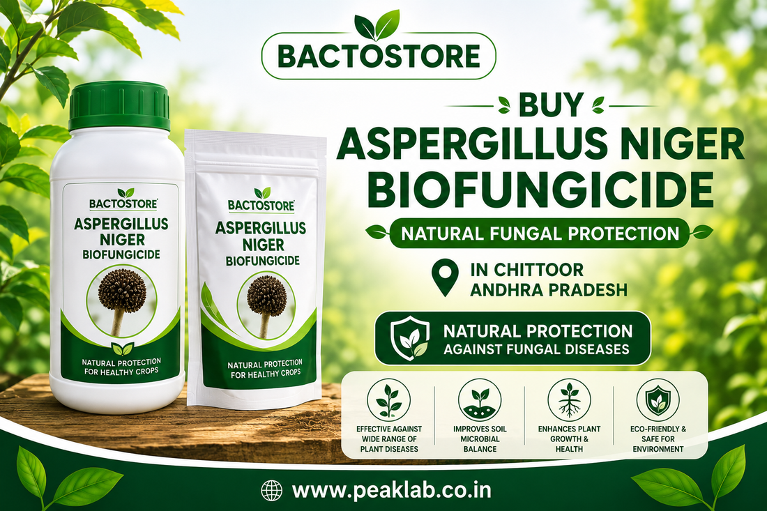 Buy Aspergillus Niger Biofungicide in Chittoor Andhra Pradesh