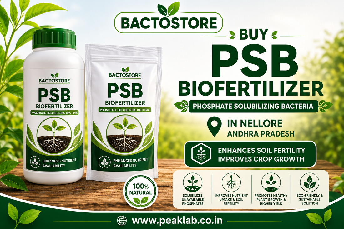 Buy PSB Biofertilizer in Nellore Andhra Pradesh