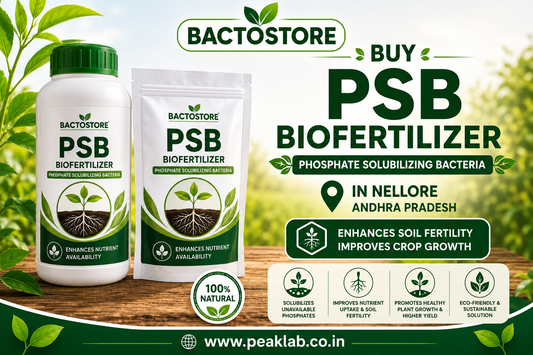 Buy PSB Biofertilizer in Nellore Andhra Pradesh