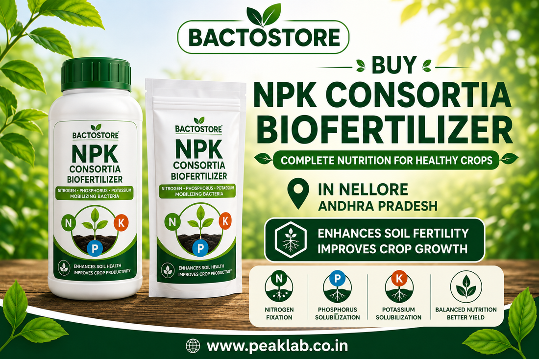 Buy NPK Consortia Biofertilizer in Nellore Andhra Pradesh