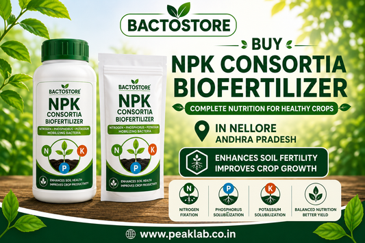 Buy NPK Consortia Biofertilizer in Nellore Andhra Pradesh