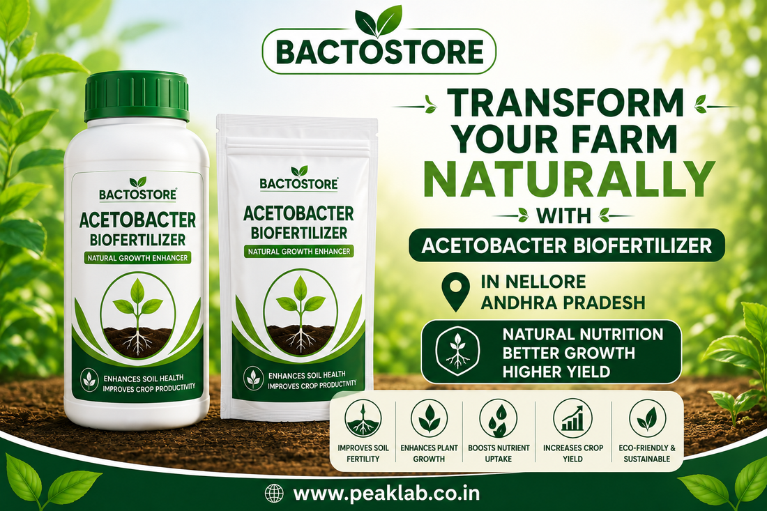 Transform Your Farm Naturally with Acetobacter Biofertilizer in Nellore Andhra Pradesh