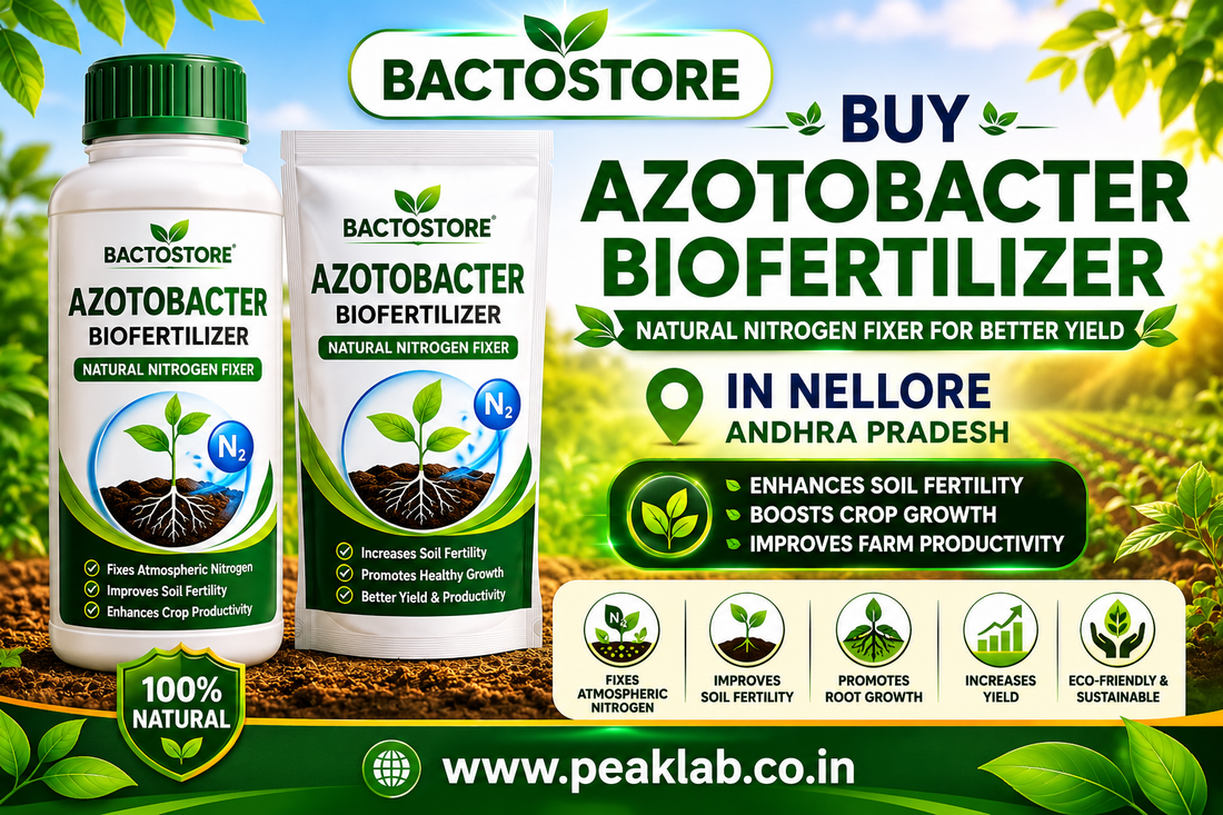 Buy Azotobacter Biofertilizer in Nellore Andhra Pradesh