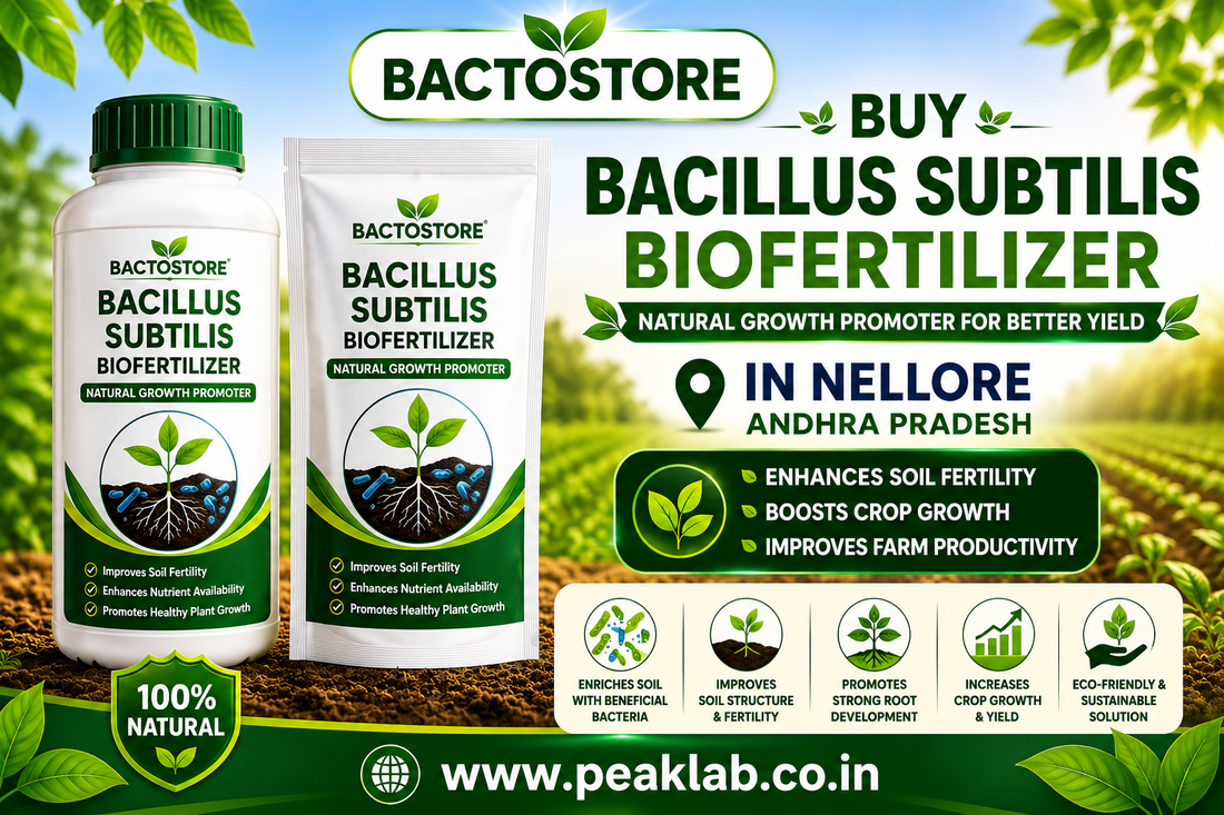 Buy Bacillus Subtilis Biofertilizer in Nellore Andhra Pradesh