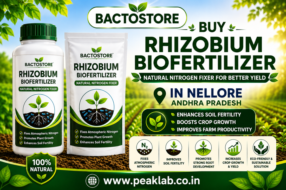 Buy Rhizobium Biofertilizer in Nellore Andhra Pradesh