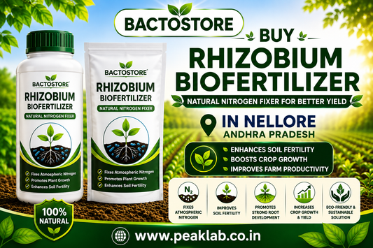 Buy Rhizobium Biofertilizer in Nellore Andhra Pradesh
