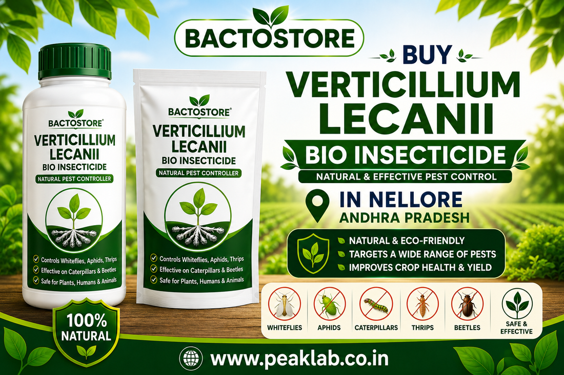 Buy Verticillium Lecanii Bio Insecticide in Nellore Andhra Pradesh