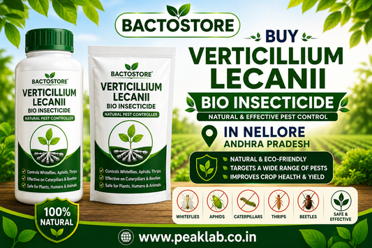 Buy Verticillium Lecanii Bio Insecticide in Nellore Andhra Pradesh