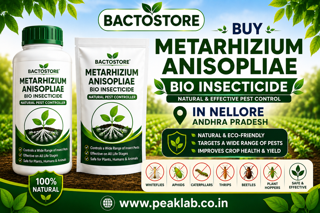 Buy Metarhizium Anisopliae Bio Insecticide in Nellore Andhra Pradesh