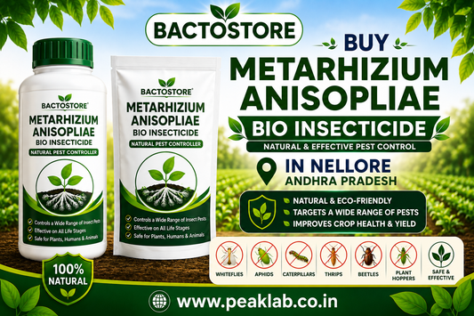 Buy Metarhizium Anisopliae Bio Insecticide in Nellore Andhra Pradesh