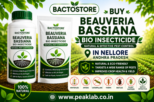 Buy Beauveria Bassiana Bio Insecticide in Nellore Andhra Pradesh