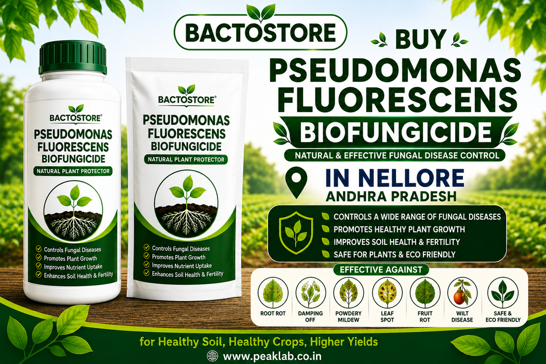 Buy Pseudomonas Fluorescens Biofungicide in Nellore Andhra Pradesh