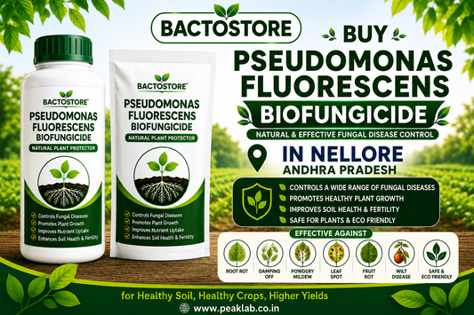 Buy Pseudomonas Fluorescens Biofungicide in Nellore Andhra Pradesh
