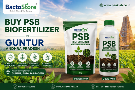 Buy PSB Biofertilizer in Guntur Andhra Pradesh – Complete Guide for Farmers