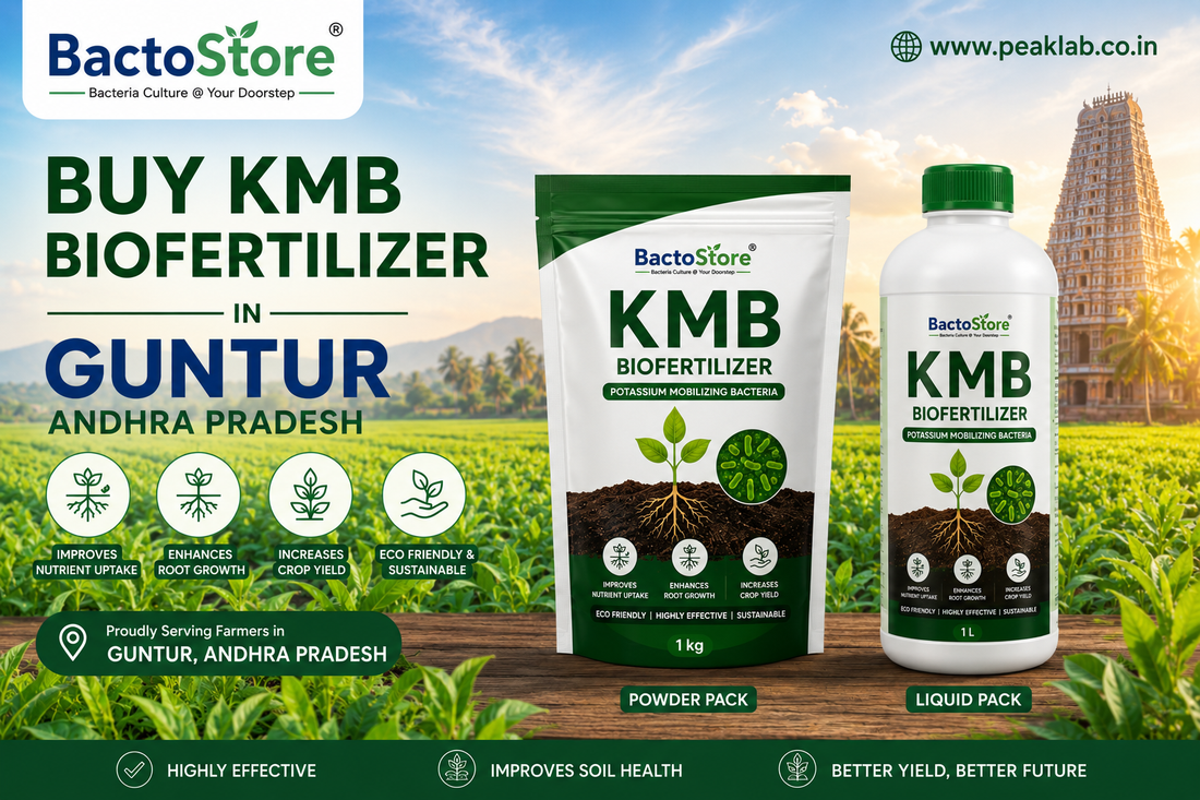 Buy KMB Biofertilizer in Guntur Andhra Pradesh