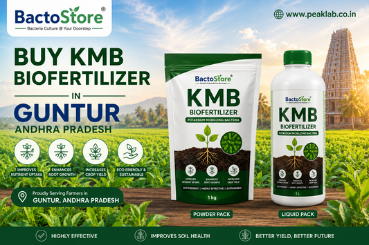 Buy KMB Biofertilizer in Guntur Andhra Pradesh
