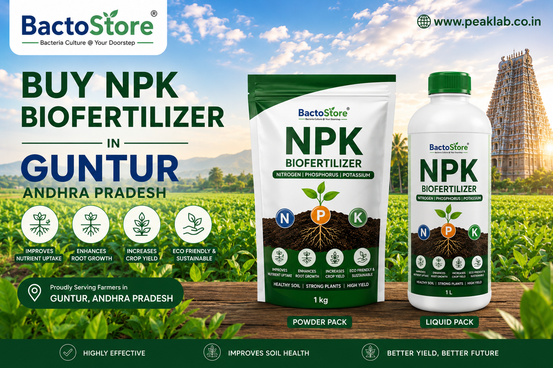 Buy NPK Consortia Biofertilizer in Guntur Andhra Pradesh | Advanced Multi-Strain Biofertilizer for Sustainable Farming