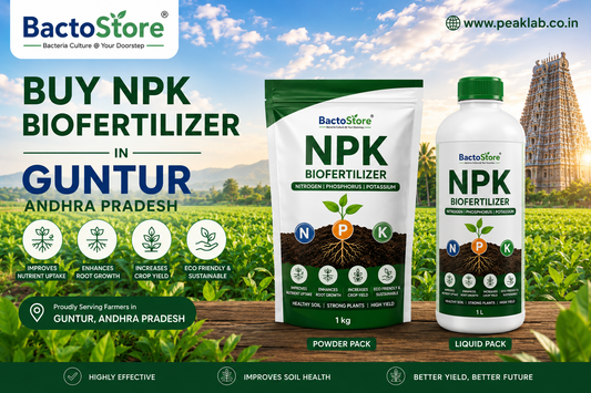Buy NPK Consortia Biofertilizer in Guntur Andhra Pradesh | Advanced Multi-Strain Biofertilizer for Sustainable Farming