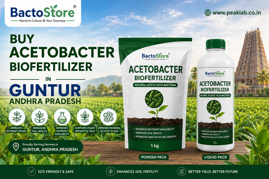 Buy Acetobacter Biofertilizer in Guntur Andhra Pradesh