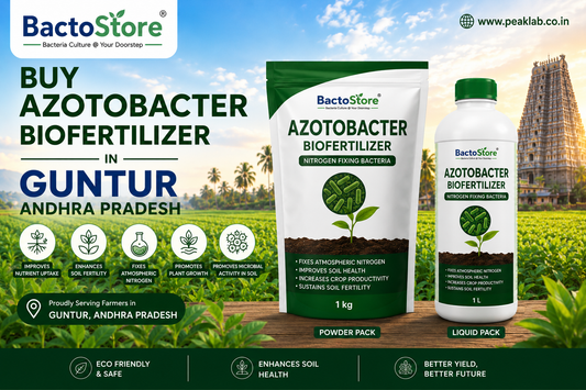 Buy Azotobacter Biofertilizer in Guntur Andhra Pradesh
