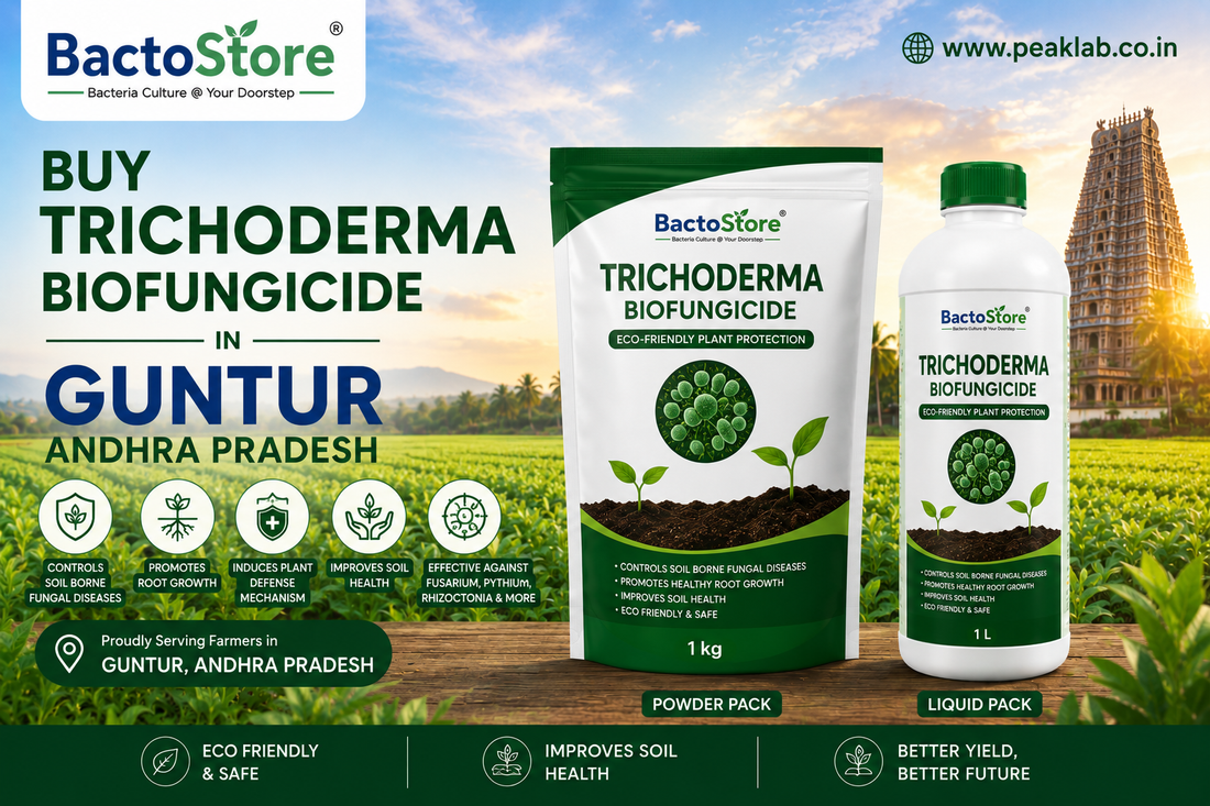 Buy Trichoderma Biofungicide in Guntur Andhra Pradesh