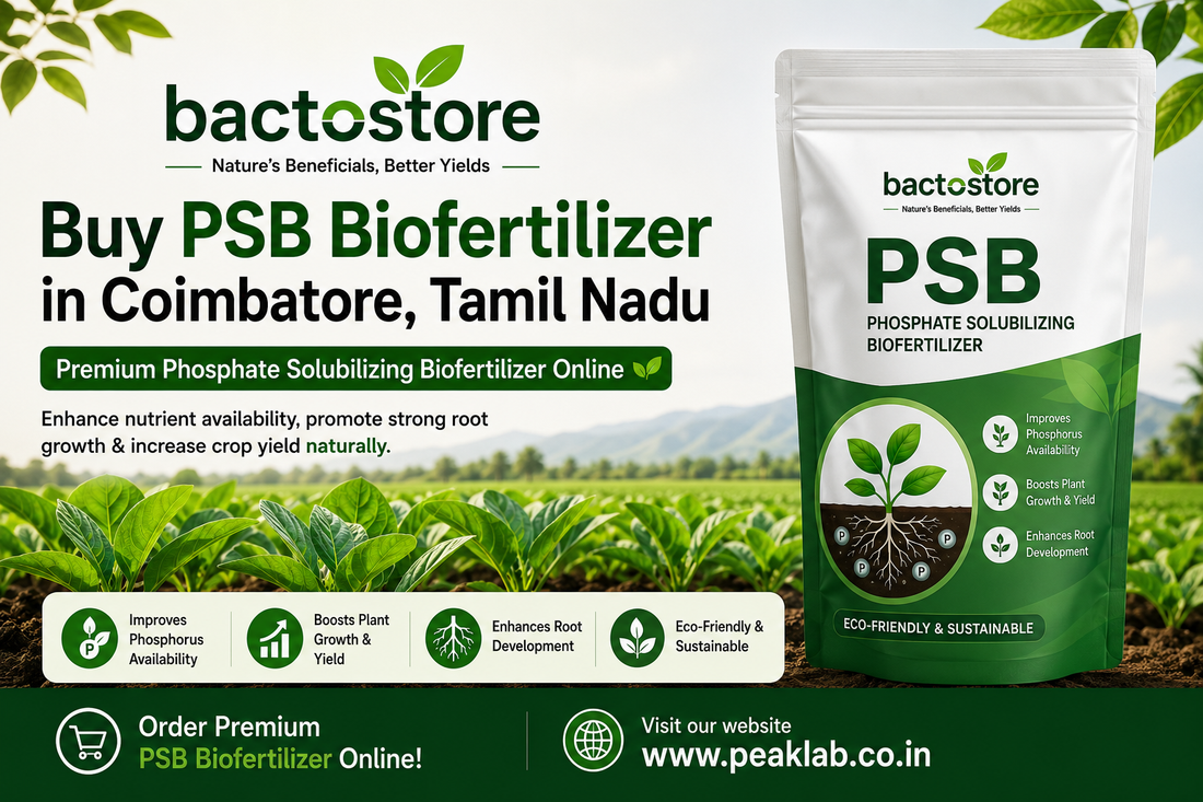 Buy PSB Biofertilizer in Coimbatore, Tamil Nadu for Better Crop Growth Naturally