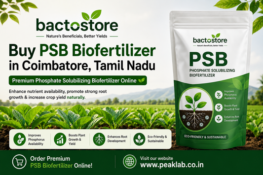 Buy PSB Biofertilizer in Coimbatore, Tamil Nadu for Better Crop Growth Naturally