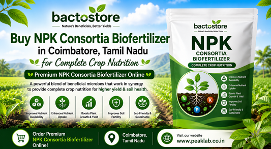 Buy NPK Consortia Biofertilizer in Coimbatore, Tamil Nadu for Complete Crop Nutrition