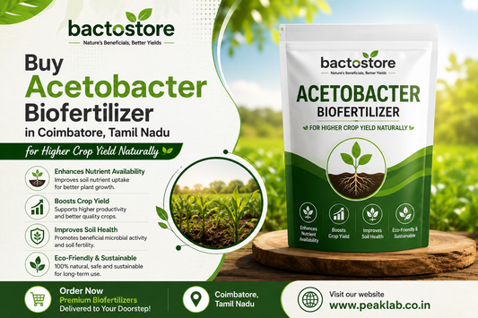 Buy Acetobacter Biofertilizer in Coimbatore, Tamil Nadu for Higher Crop Yield Naturally