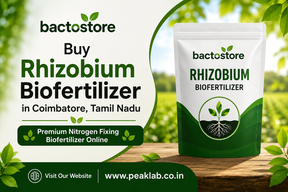 Buy Rhizobium Biofertilizer in Coimbatore, Tamil Nadu for Higher Pulse Crop Productivity