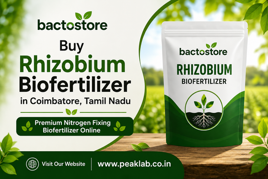 Buy Rhizobium Biofertilizer in Coimbatore, Tamil Nadu for Higher Pulse Crop Productivity