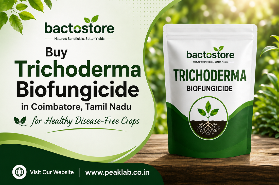 Buy Trichoderma Biofungicide in Coimbatore, Tamil Nadu for Healthy Disease-Free Crops