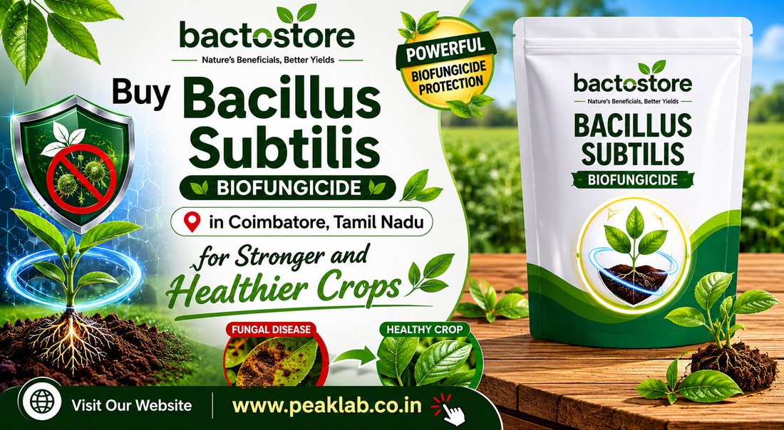 Buy Bacillus Subtilis in Coimbatore, Tamil Nadu for Stronger and Healthier Crops