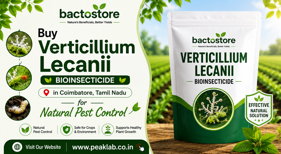 Buy Verticillium Lecanii in Coimbatore, Tamil Nadu for Natural Pest Control