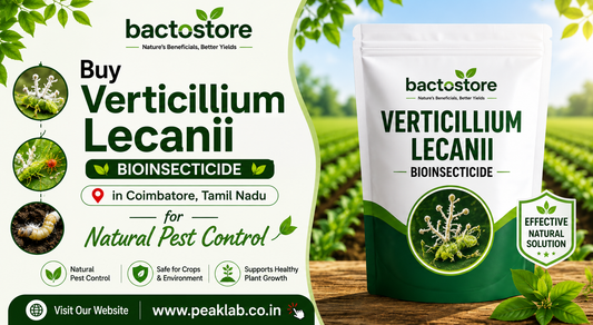 Buy Verticillium Lecanii in Coimbatore, Tamil Nadu for Natural Pest Control