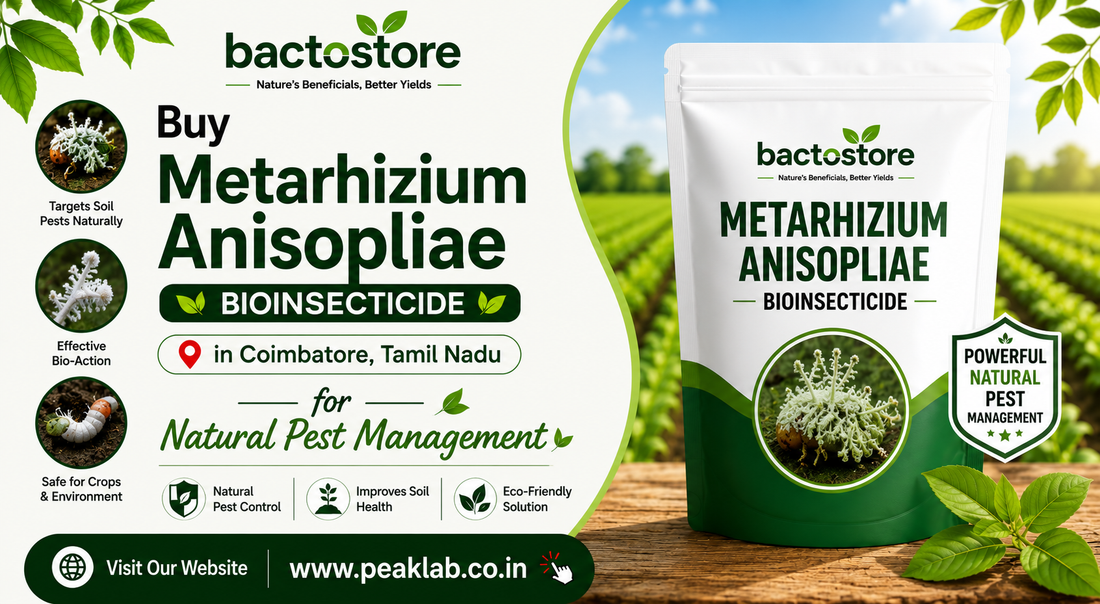 Buy Metarhizium Anisopliae in Coimbatore, Tamil Nadu for Natural Pest Management